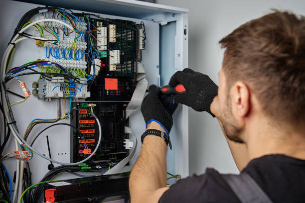 Licensed Electrical Panel Upgrade service in Lakeview, MI - No Joke electrician